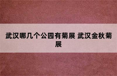 武汉哪几个公园有菊展 武汉金秋菊展